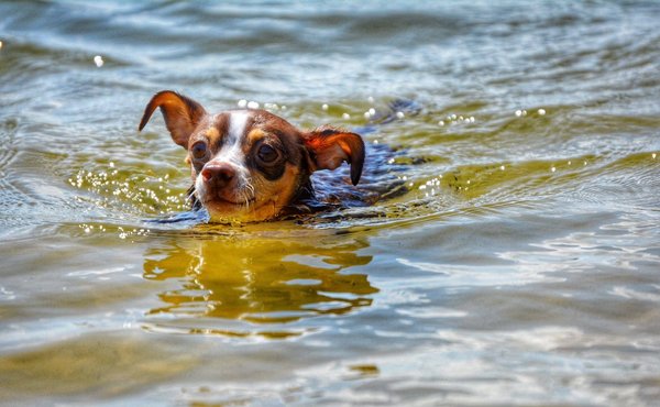 Quelles sont les étapes pour démarrer une carrière en tant que réflexologue ?